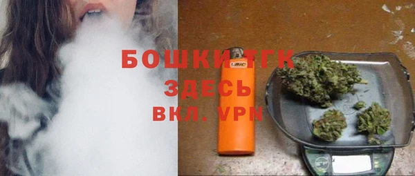 PSILOCYBIN Алзамай