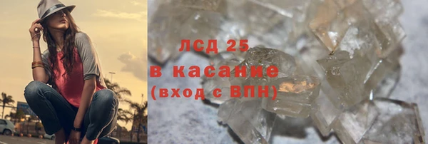 ПСИЛОЦИБИНОВЫЕ ГРИБЫ Арсеньев