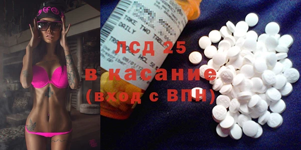 PSILOCYBIN Алзамай