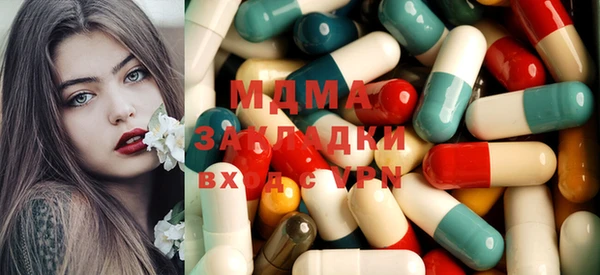 PSILOCYBIN Алзамай